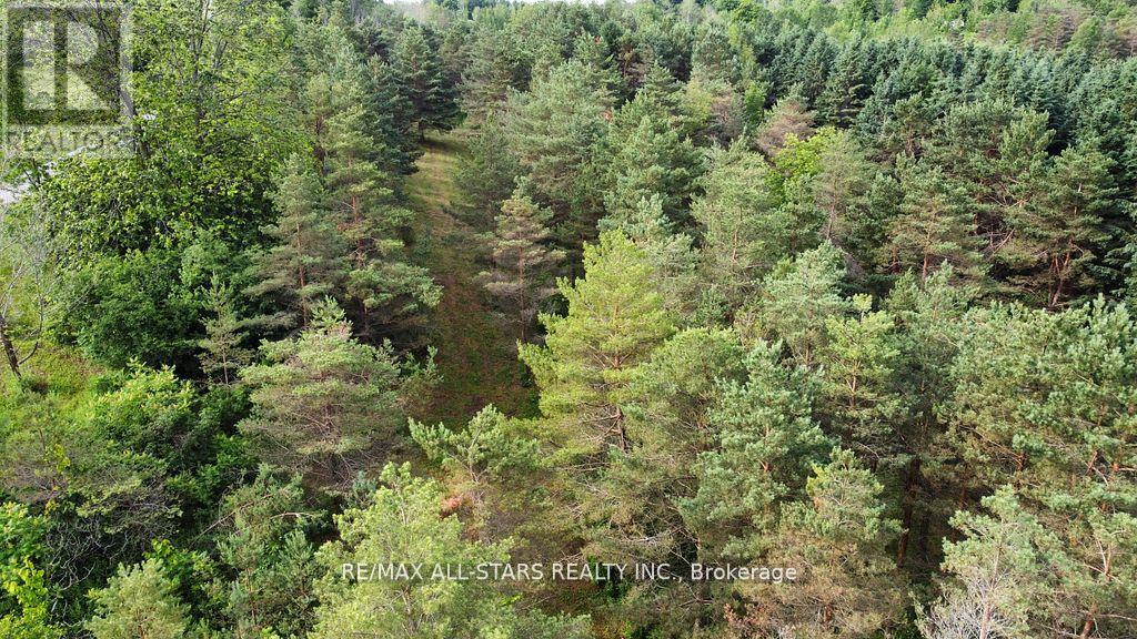 283 Bland Line, Cavan Monaghan (Cavan Twp), Ontario  L0A 1C0 - Photo 3 - X12256480