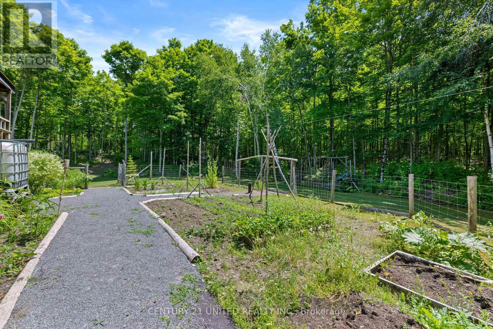 2021 Camp Line Road, Douro-Dummer, Ontario  K0L 2H0 - Photo 30 - X12256499