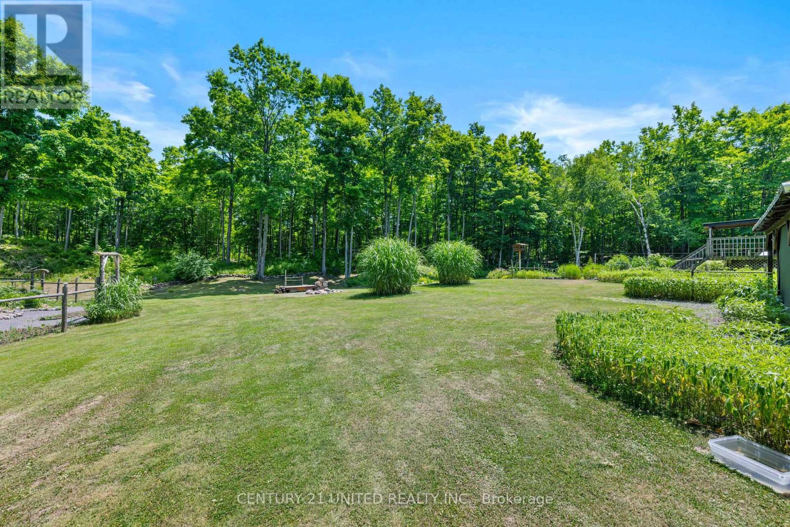 2021 Camp Line Road, Douro-Dummer, Ontario  K0L 2H0 - Photo 37 - X12256499