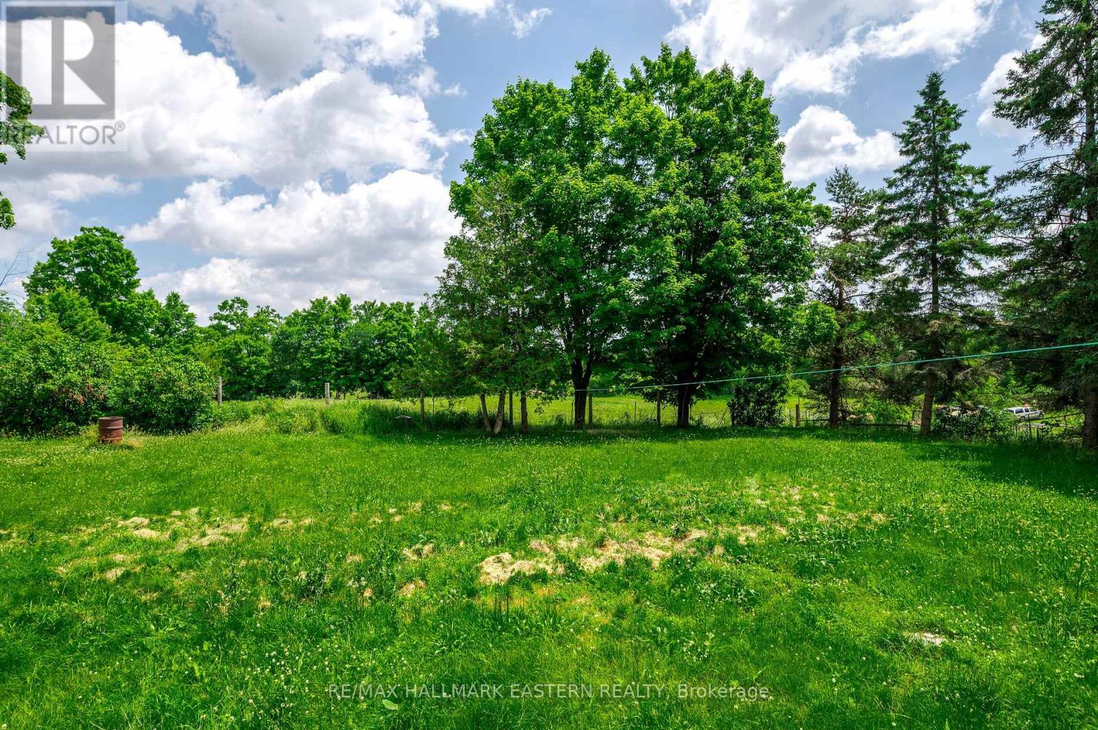 1625 Camp Line Road, Douro-Dummer, Ontario  K0L 2H0 - Photo 32 - X12257144