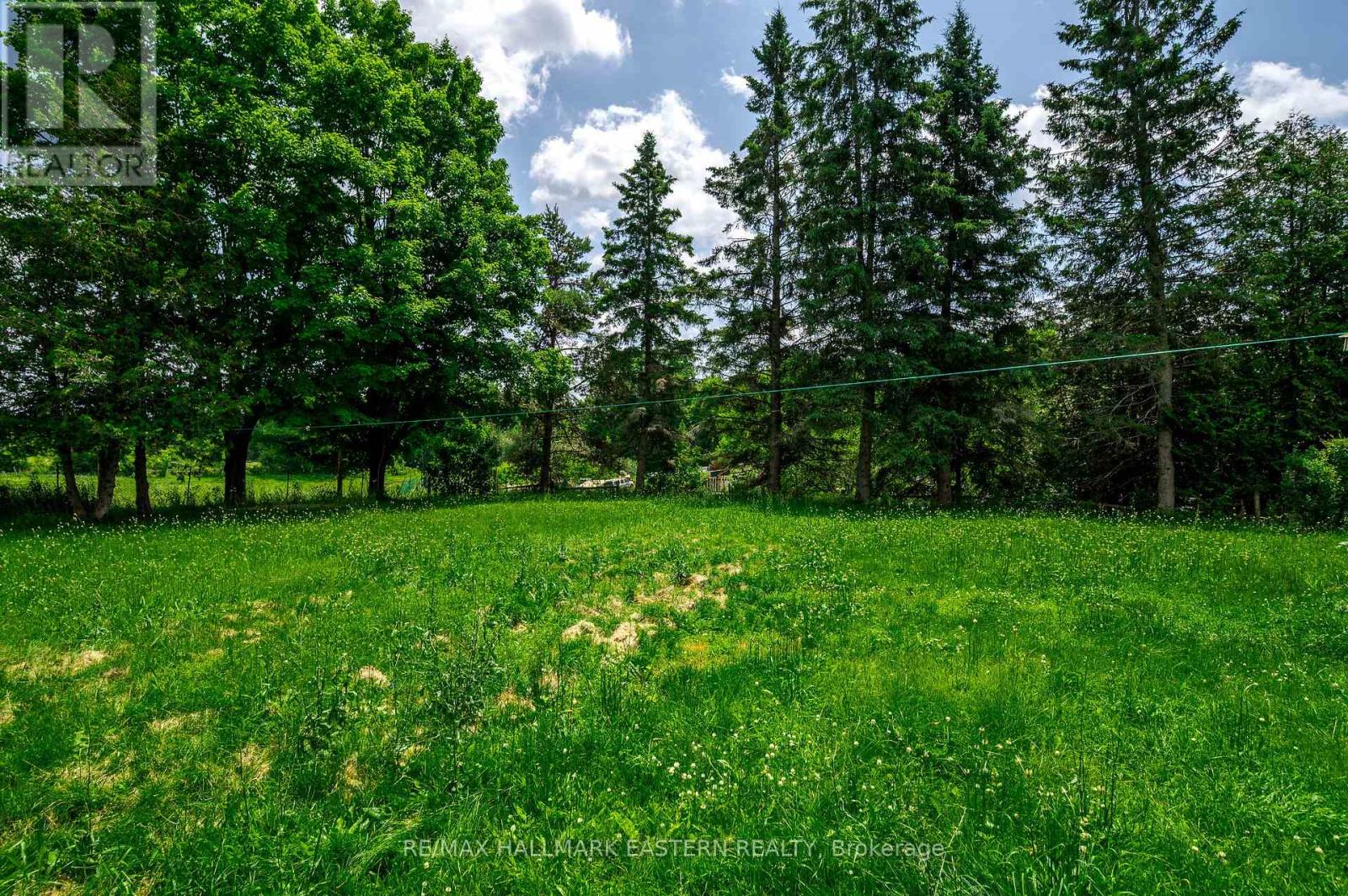 1625 Camp Line Road, Douro-Dummer, Ontario  K0L 2H0 - Photo 33 - X12257144