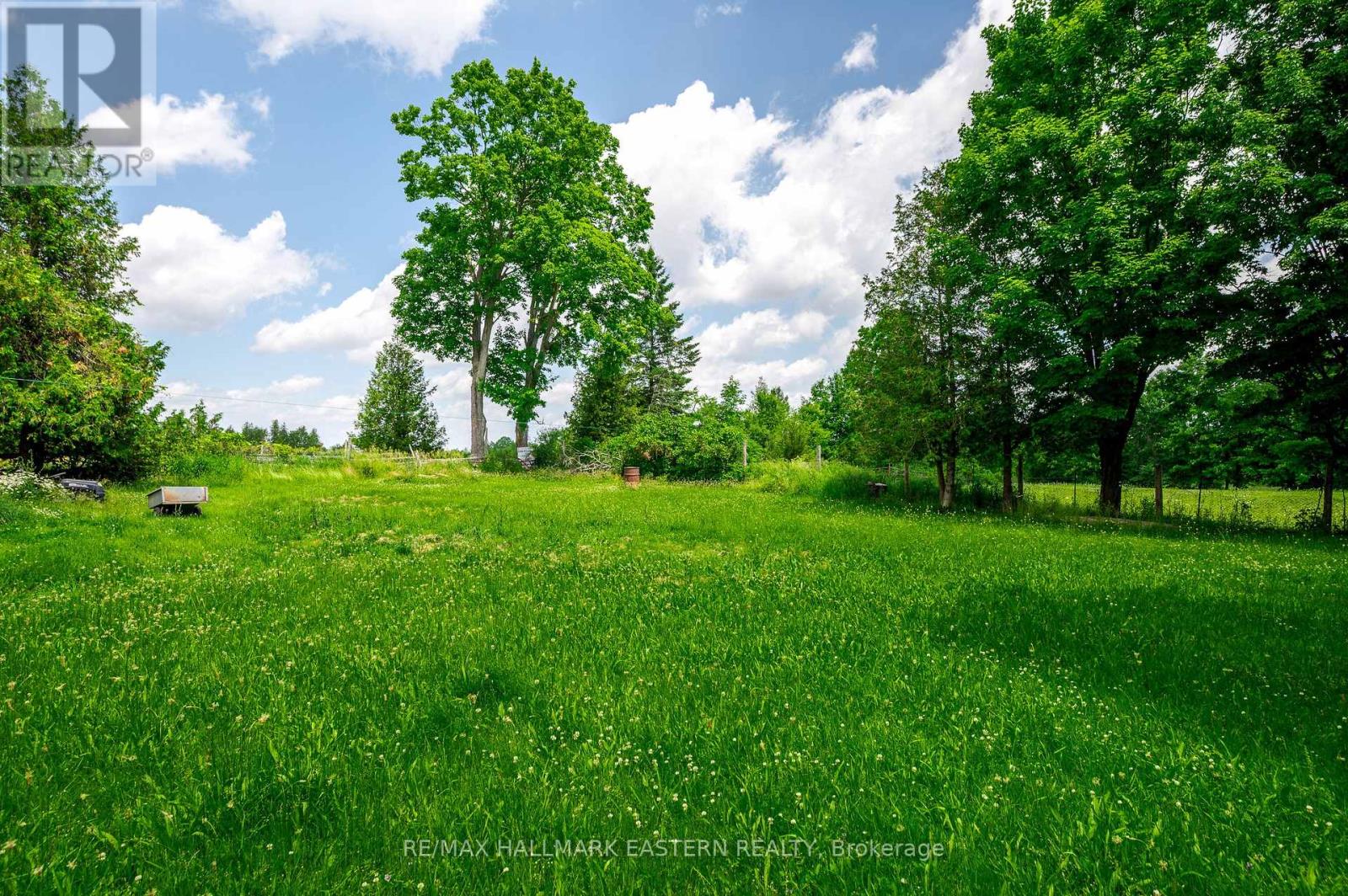 1625 Camp Line Road, Douro-Dummer, Ontario  K0L 2H0 - Photo 37 - X12257144