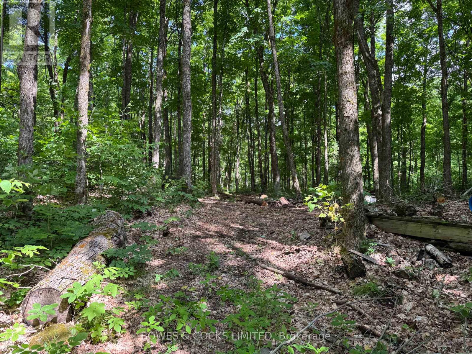 1850 The South Road, Wollaston, Ontario  K0L 1P0 - Photo 3 - X12257287