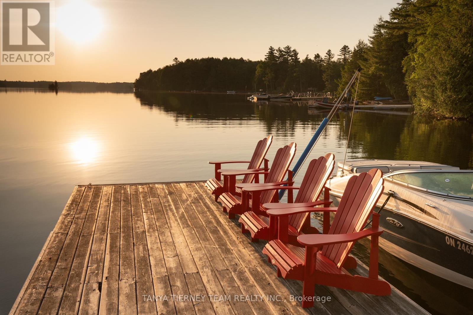 86 Fire Route 74d, North Kawartha, Ontario  K0L 1A0 - Photo 1 - X12257338