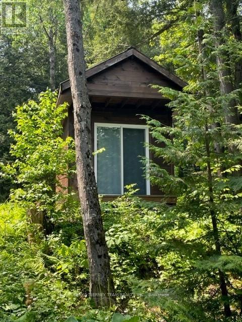 86 Fire Route 74d, North Kawartha, Ontario  K0L 1A0 - Photo 22 - X12257338