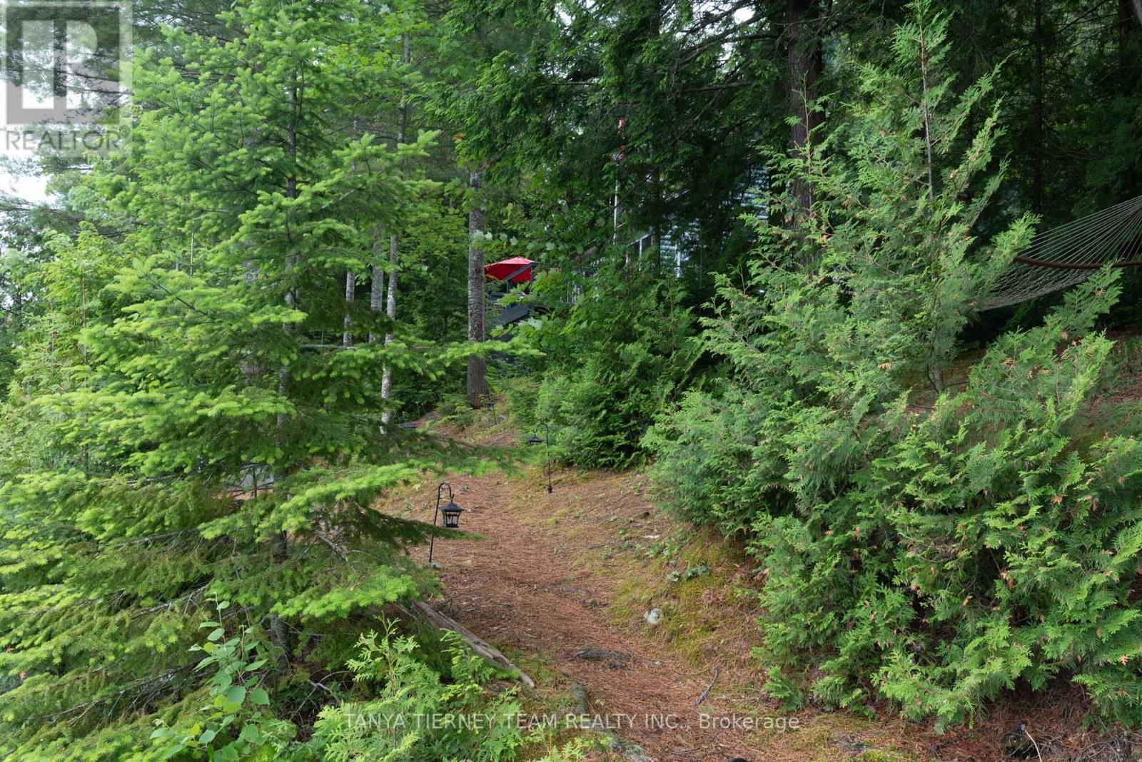 86 Fire Route 74d, North Kawartha, Ontario  K0L 1A0 - Photo 8 - X12257338