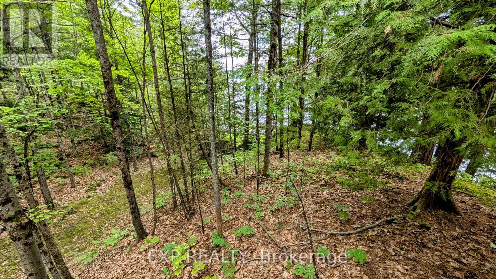 71 Quail Lane, North Kawartha, Ontario  K0L 1A0 - Photo 39 - X12258120