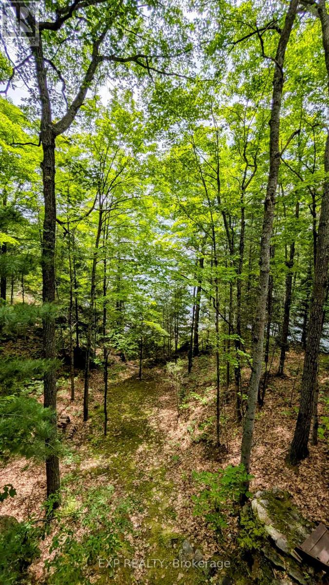 71 Quail Lane, North Kawartha, Ontario  K0L 1A0 - Photo 40 - X12258120