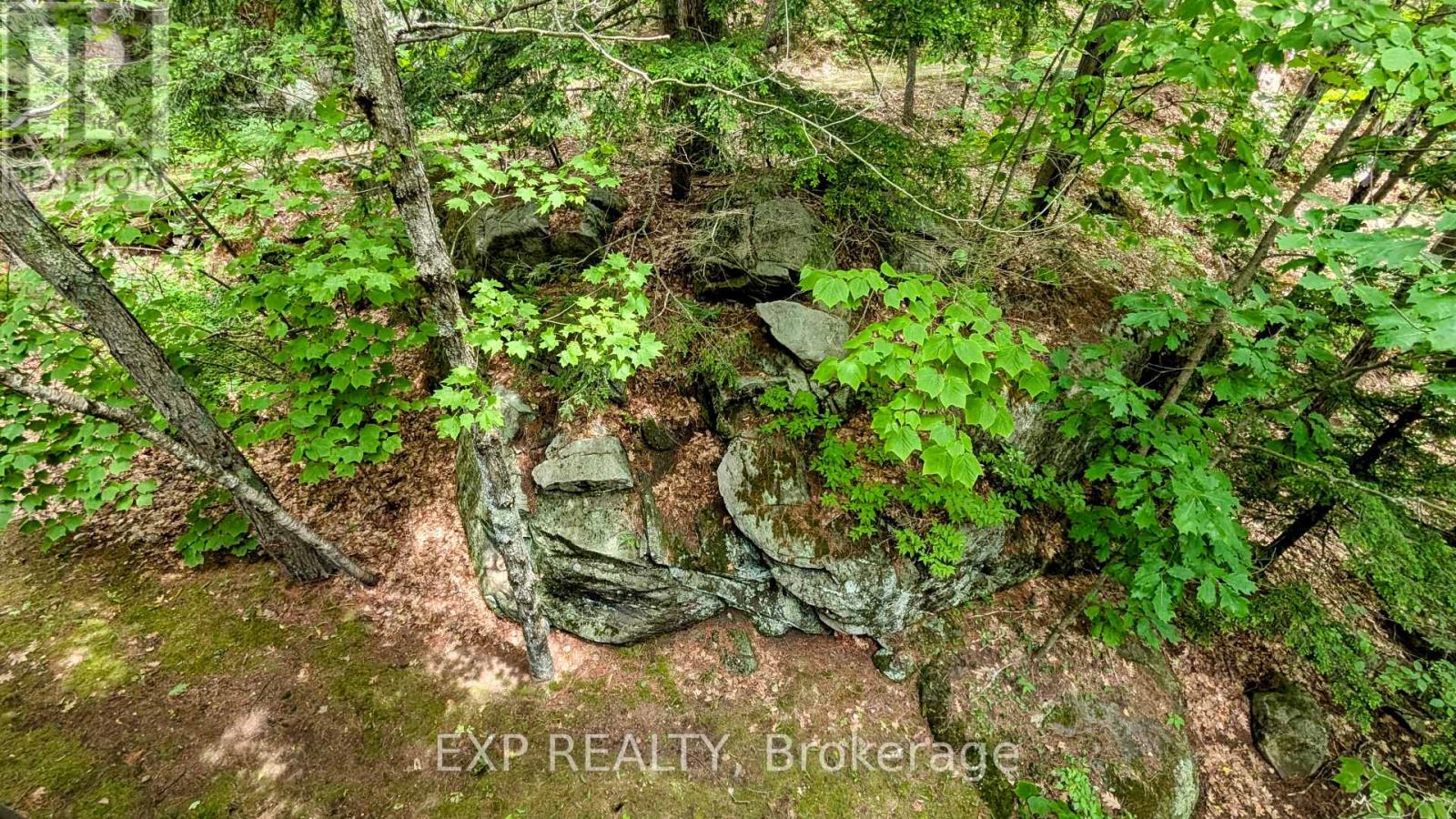 71 Quail Lane, North Kawartha, Ontario  K0L 1A0 - Photo 42 - X12258120
