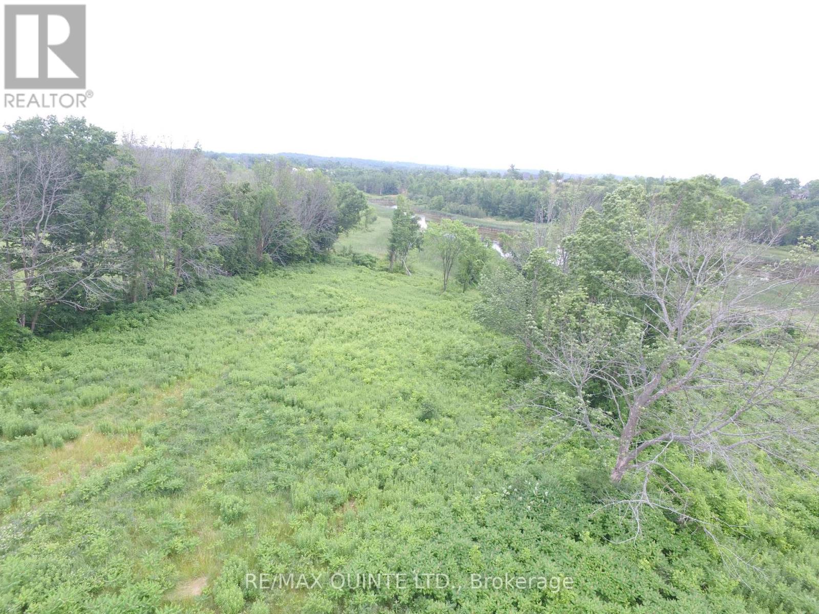 141 Portage Street, Trent Hills (Campbellford), Ontario  K0L 1L0 - Photo 11 - X12258445