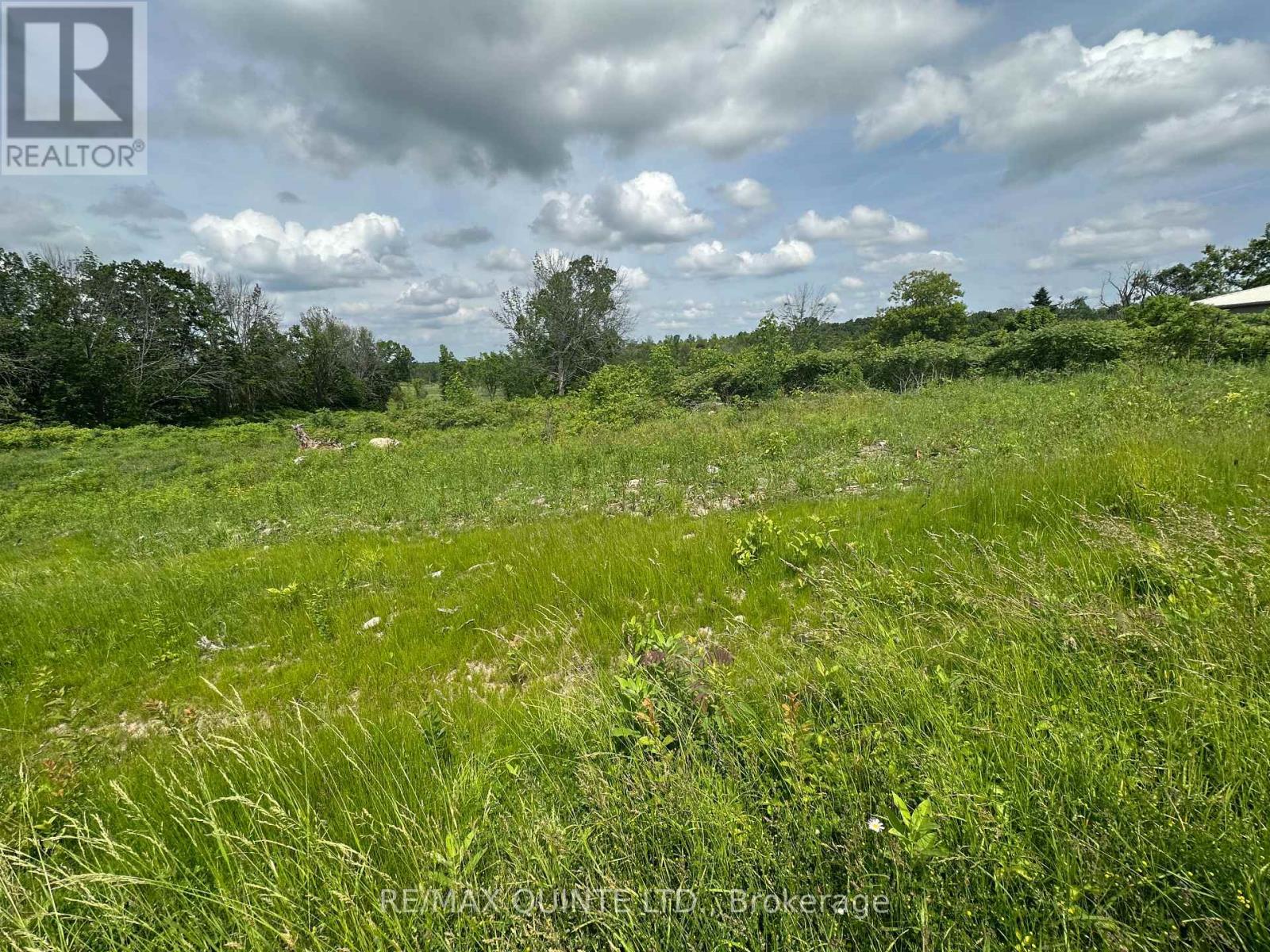 141 Portage Street, Trent Hills (Campbellford), Ontario  K0L 1L0 - Photo 15 - X12258445