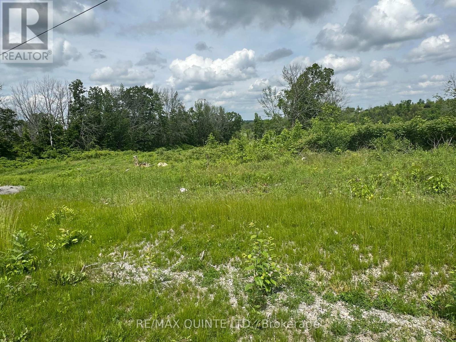 141 Portage Street, Trent Hills (Campbellford), Ontario  K0L 1L0 - Photo 16 - X12258445