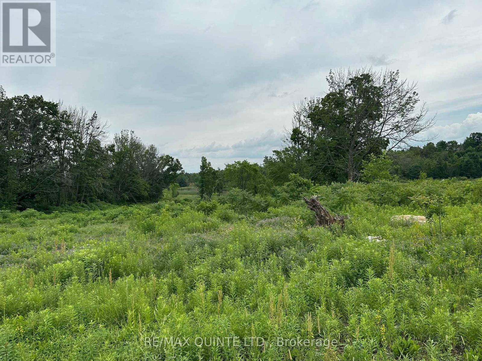 141 Portage Street, Trent Hills (Campbellford), Ontario  K0L 1L0 - Photo 24 - X12258445