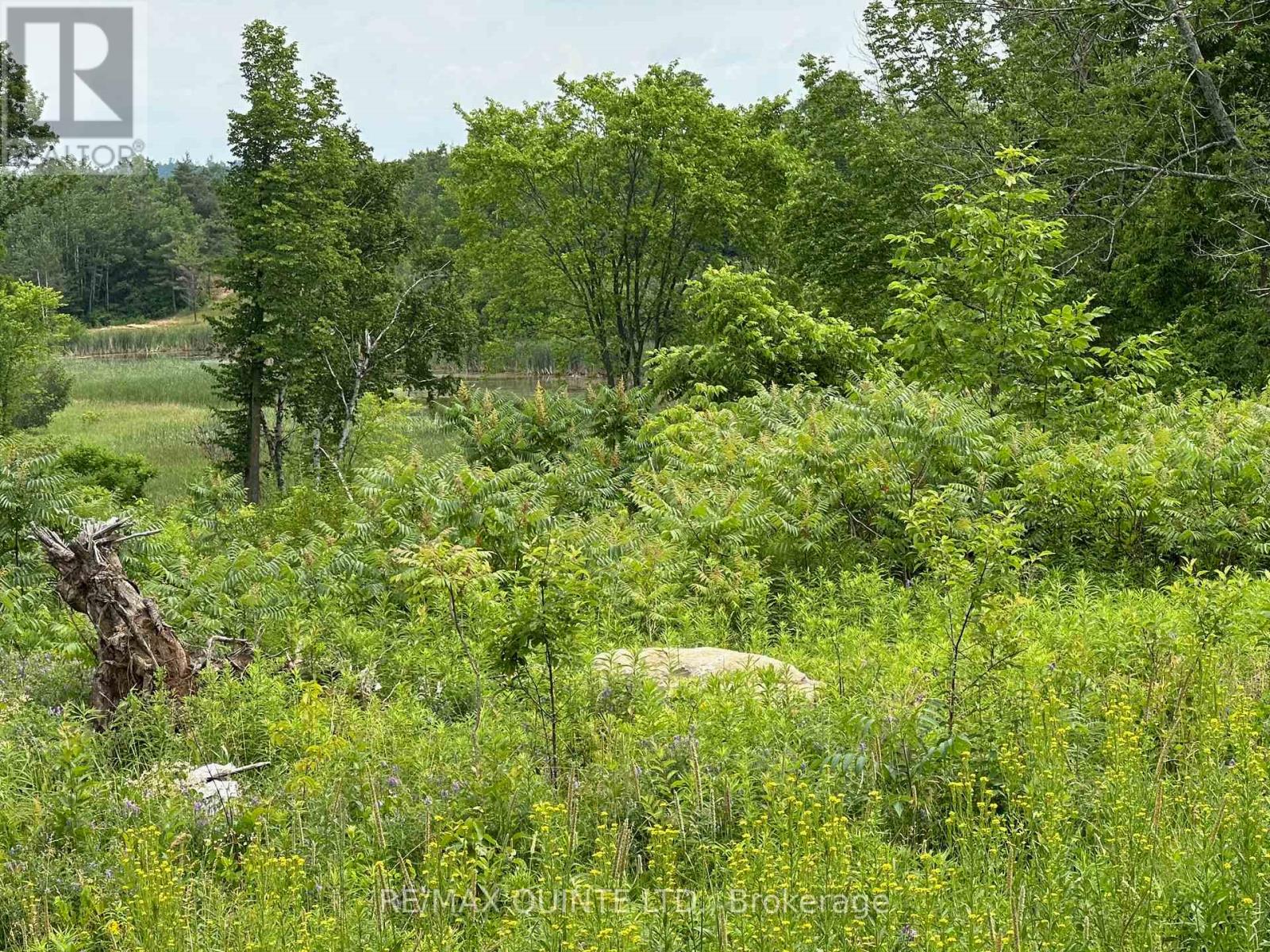 141 Portage Street, Trent Hills (Campbellford), Ontario  K0L 1L0 - Photo 26 - X12258445