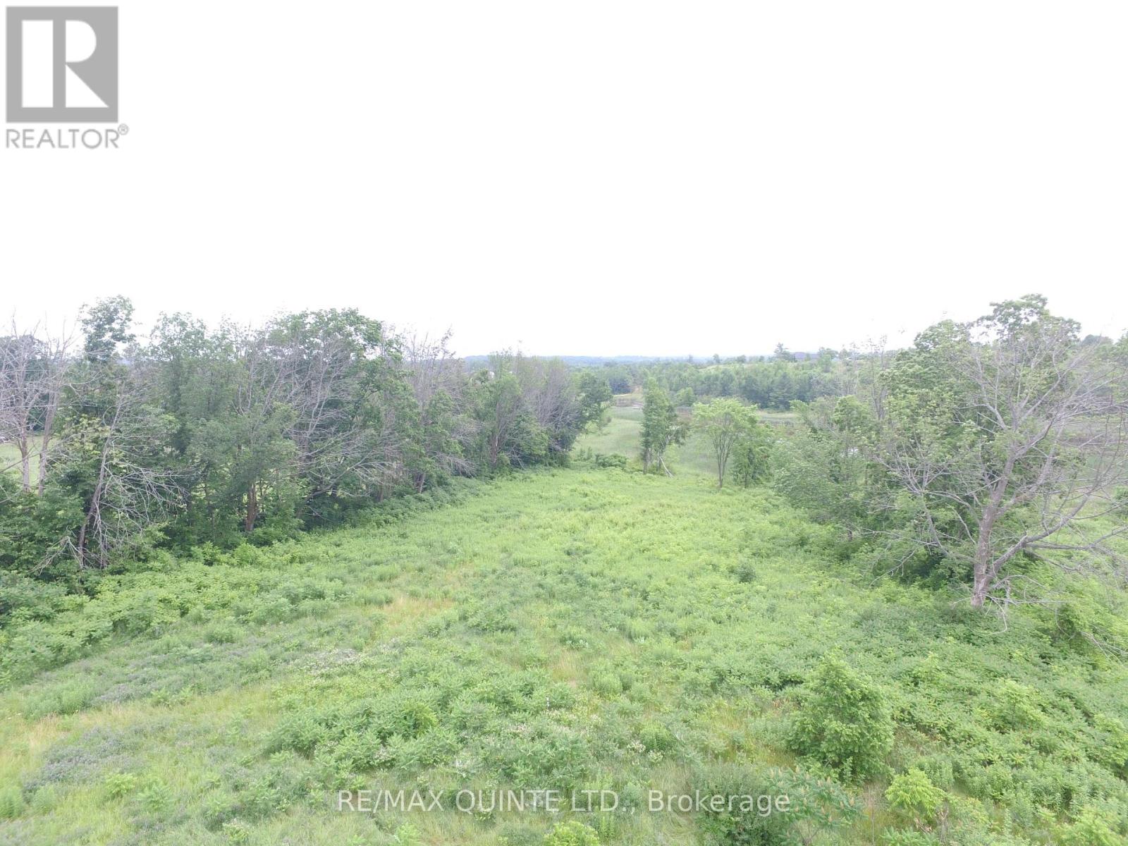 141 Portage Street, Trent Hills (Campbellford), Ontario  K0L 1L0 - Photo 6 - X12258445