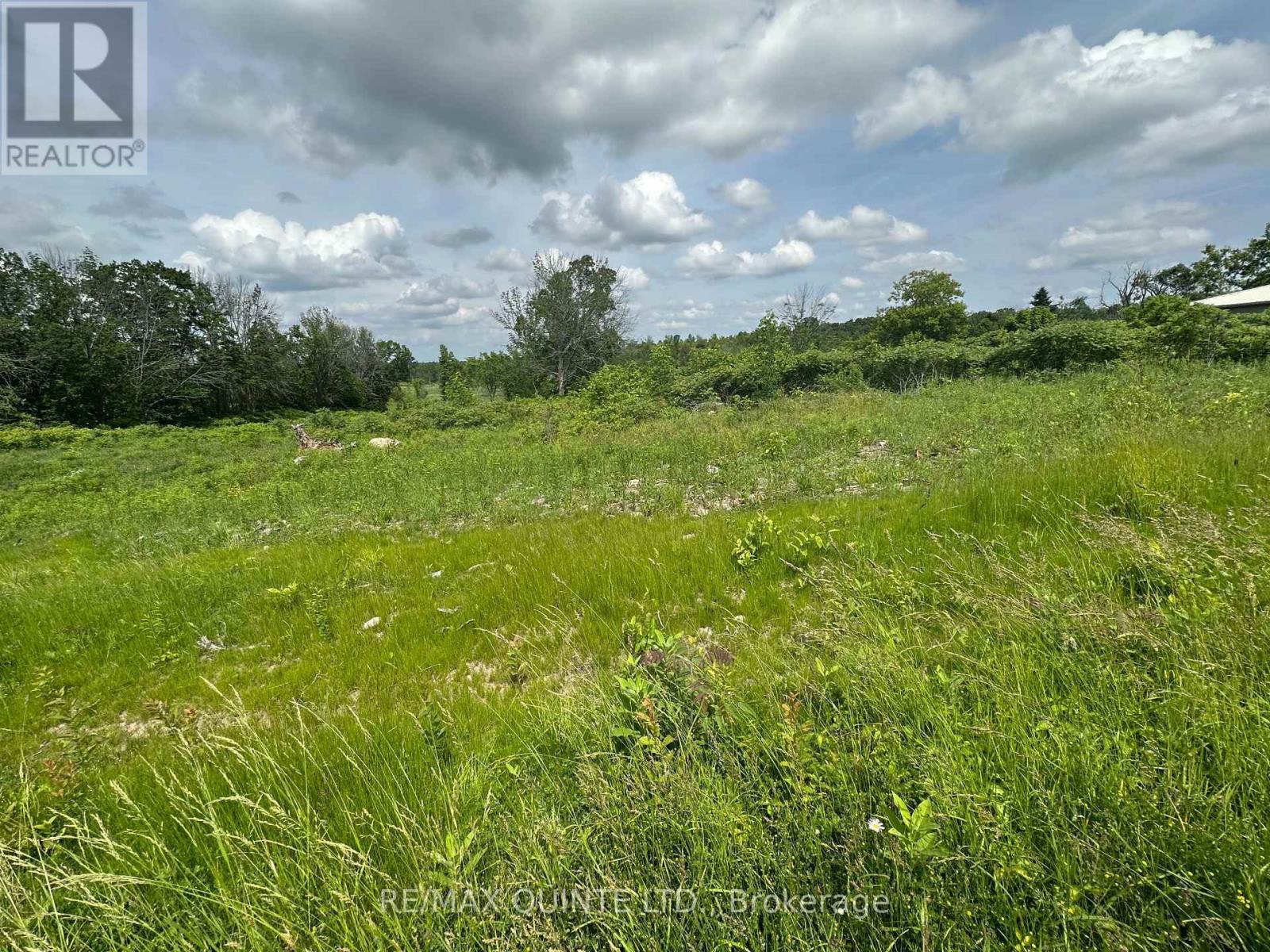 145 Portage Street, Trent Hills (Campbellford), Ontario  K0L 1L0 - Photo 12 - X12258447