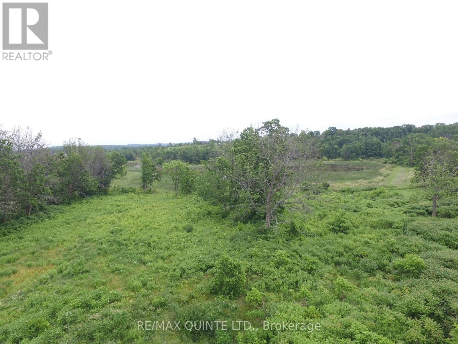 145 Portage Street, Trent Hills (Campbellford), Ontario  K0L 1L0 - Photo 2 - X12258447