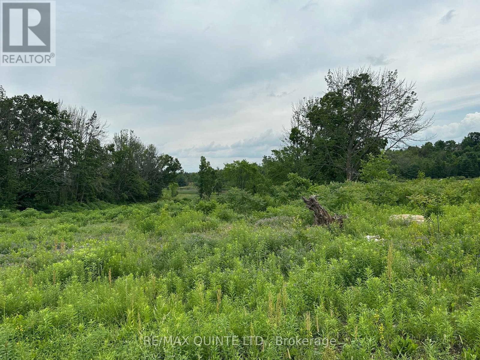 145 Portage Street, Trent Hills (Campbellford), Ontario  K0L 1L0 - Photo 21 - X12258447
