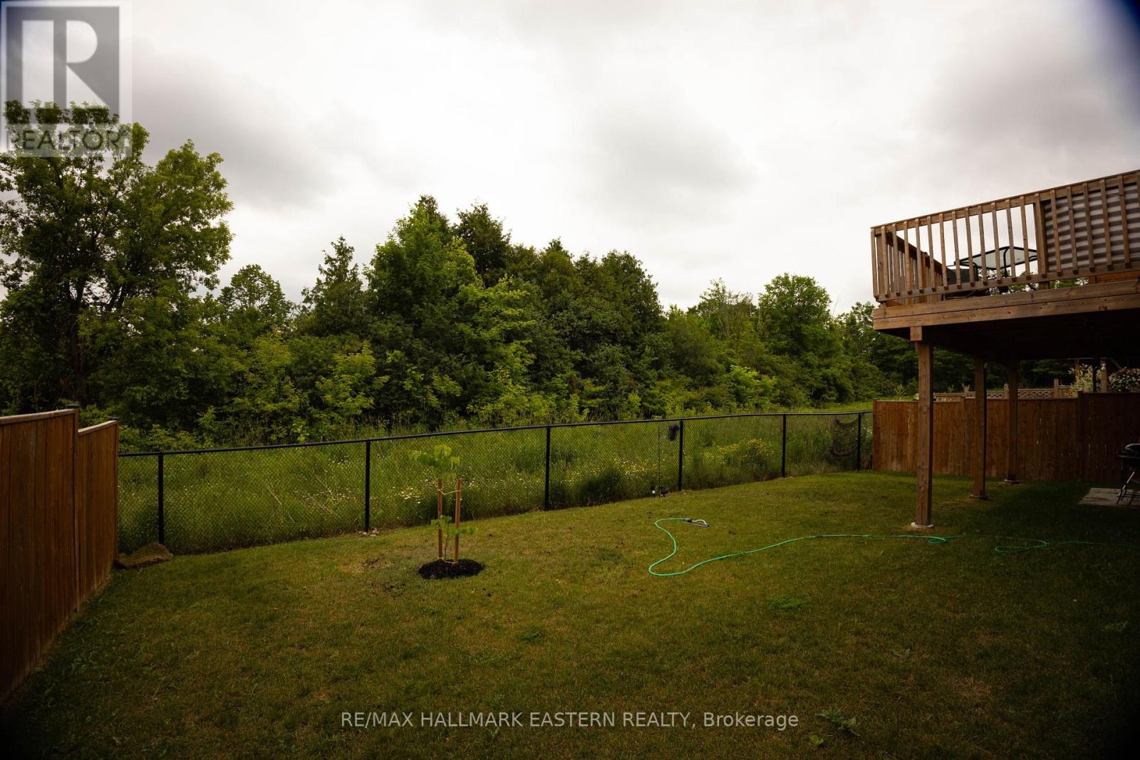 Main Floor - 119 Highlands Boulevard, Cavan Monaghan (Millbrook Village), Ontario  L0A 1G0 - Photo 23 - X12258835