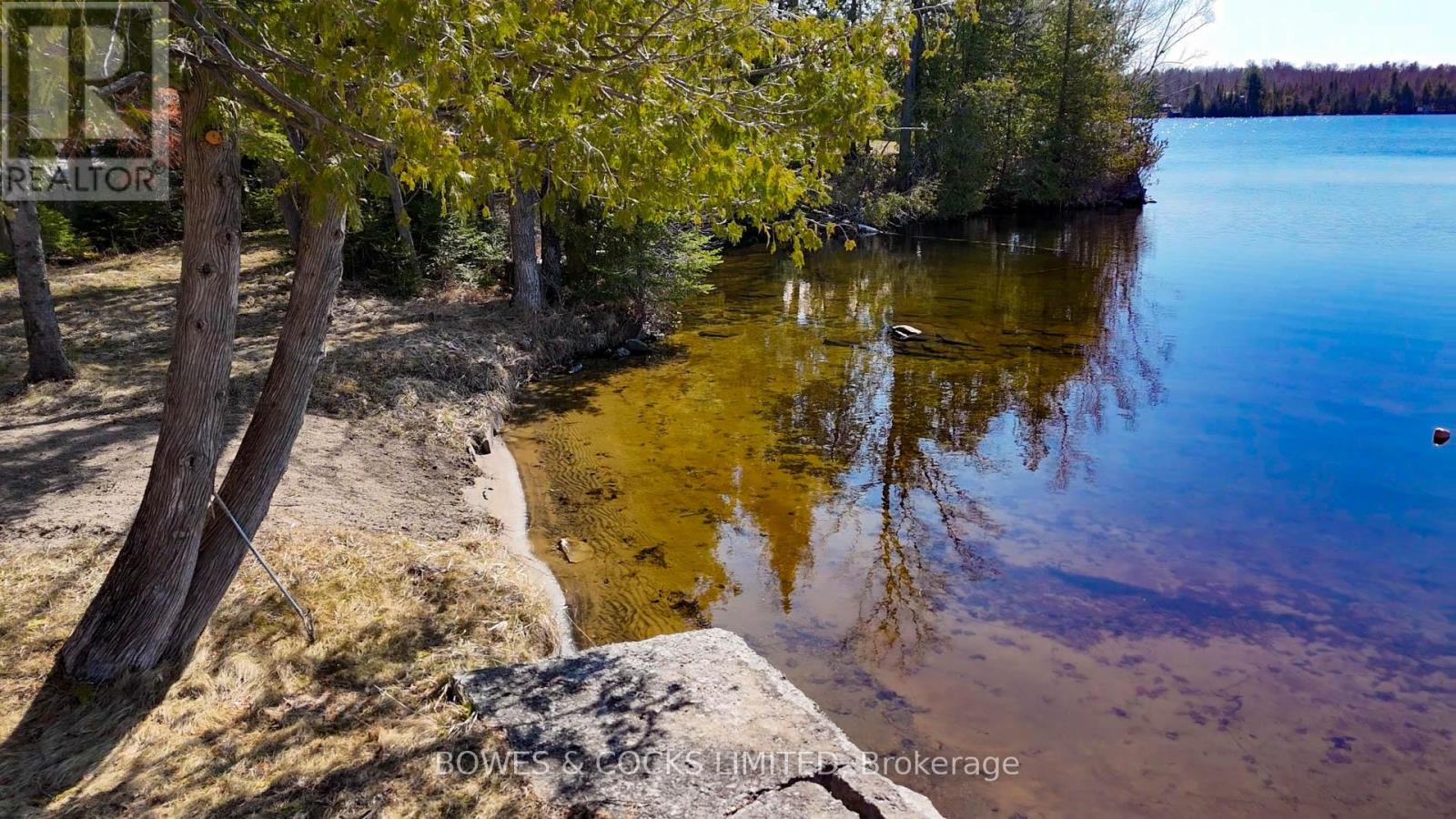 348 Steenburg Lake Road N, Limerick, Ontario  K0L 1W0 - Photo 3 - X12260891