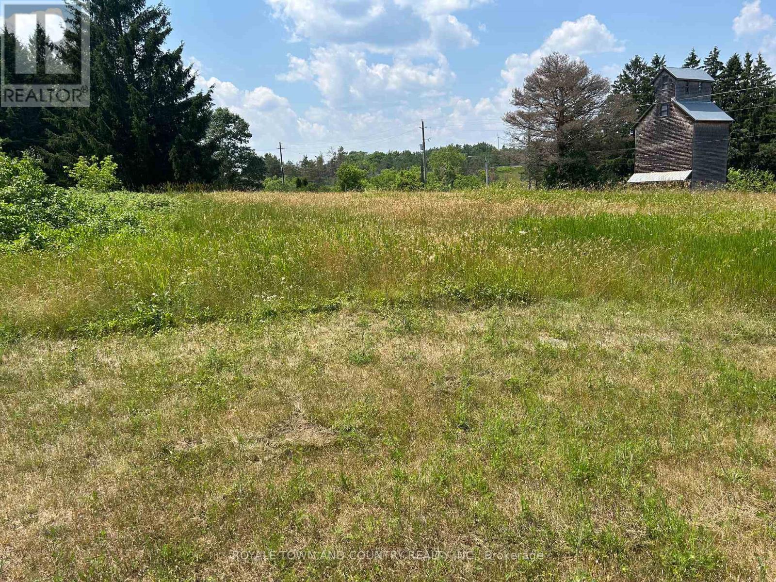 2,4,6 Thomas Street, Kawartha Lakes (Pontypool), Ontario  L0A 1K0 - Photo 4 - X12261064