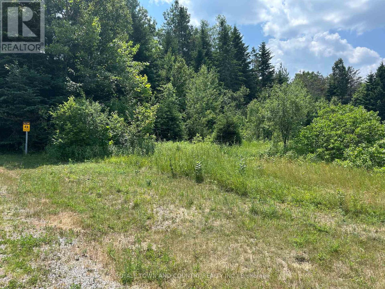 2,4,6 Thomas Street, Kawartha Lakes (Pontypool), Ontario  L0A 1K0 - Photo 6 - X12261064