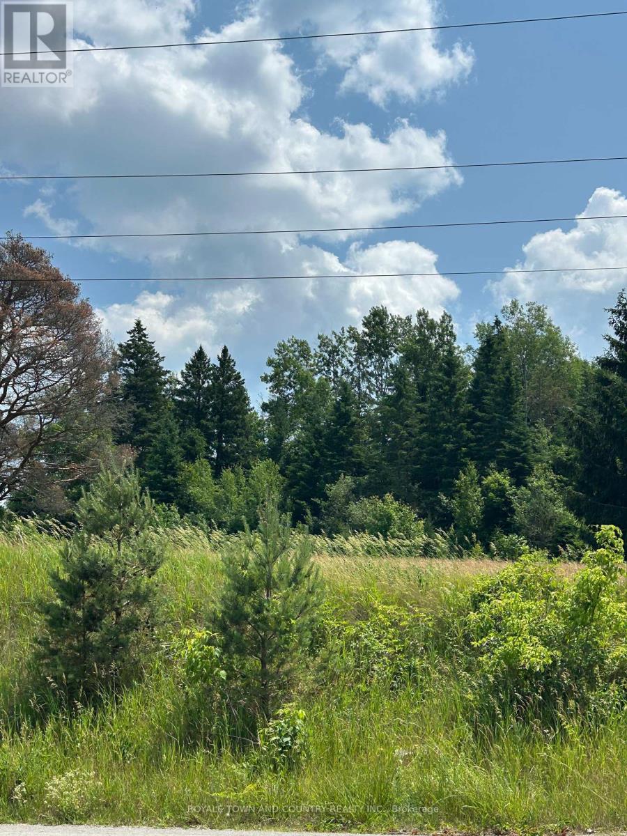 2,4,6 Thomas Street, Kawartha Lakes (Pontypool), Ontario  L0A 1K0 - Photo 8 - X12261064