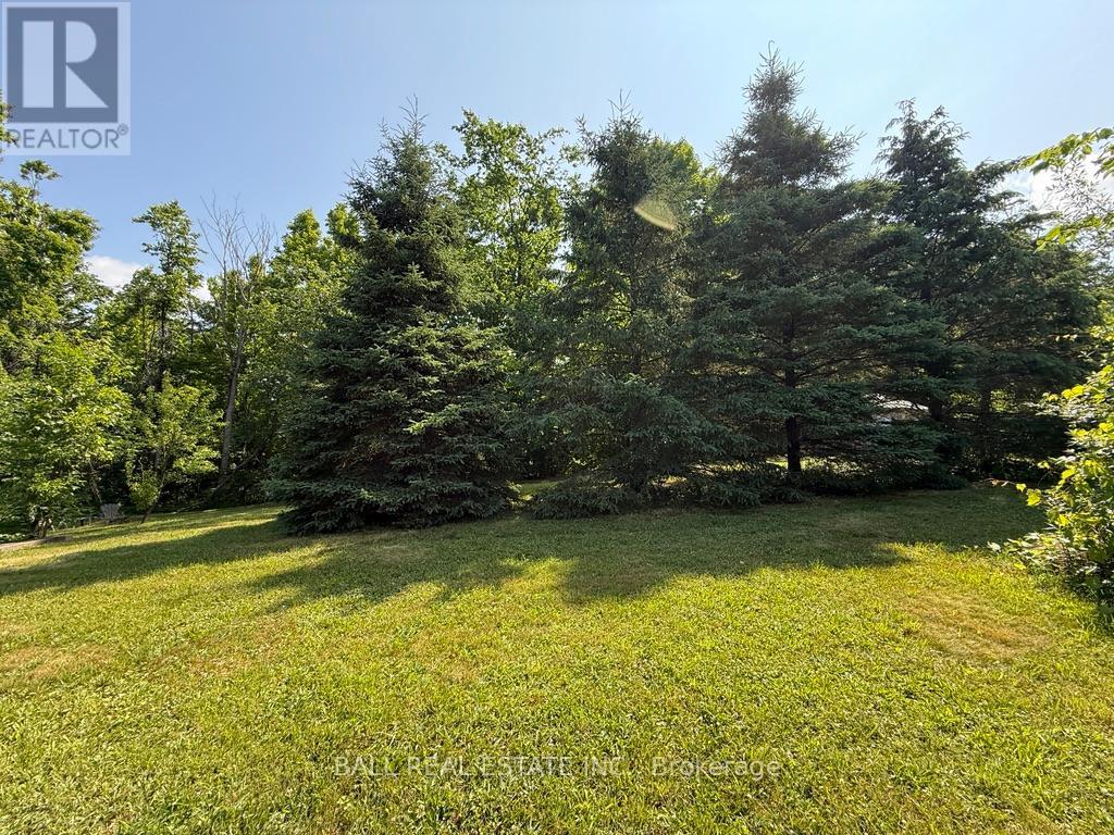 255 Northey's Bay Road, North Kawartha, Ontario  K0L 2H0 - Photo 34 - X12262290