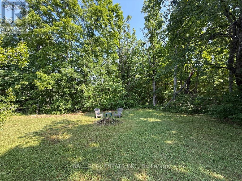 255 Northey's Bay Road, North Kawartha, Ontario  K0L 2H0 - Photo 36 - X12262290