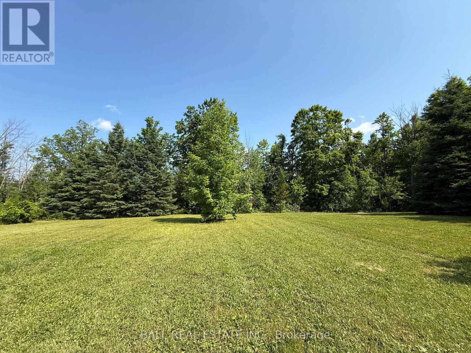 255 Northey's Bay Road, North Kawartha, Ontario  K0L 2H0 - Photo 38 - X12262290