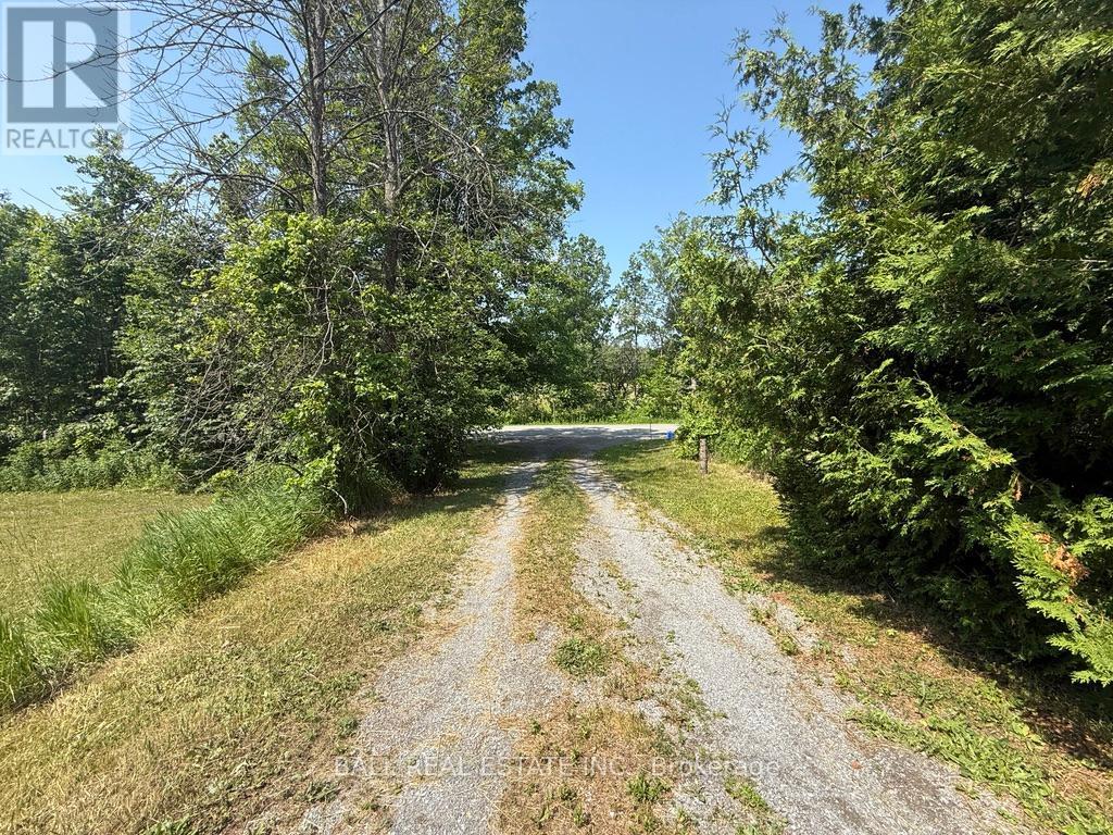 255 Northey's Bay Road, North Kawartha, Ontario  K0L 2H0 - Photo 41 - X12262290