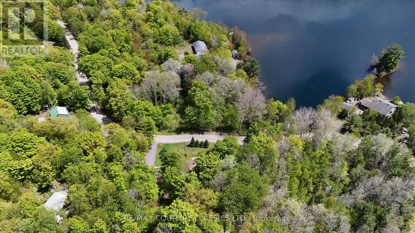164 Trout Lake Road, Faraday, Ontario  K0L 1C0 - Photo 7 - X12263339