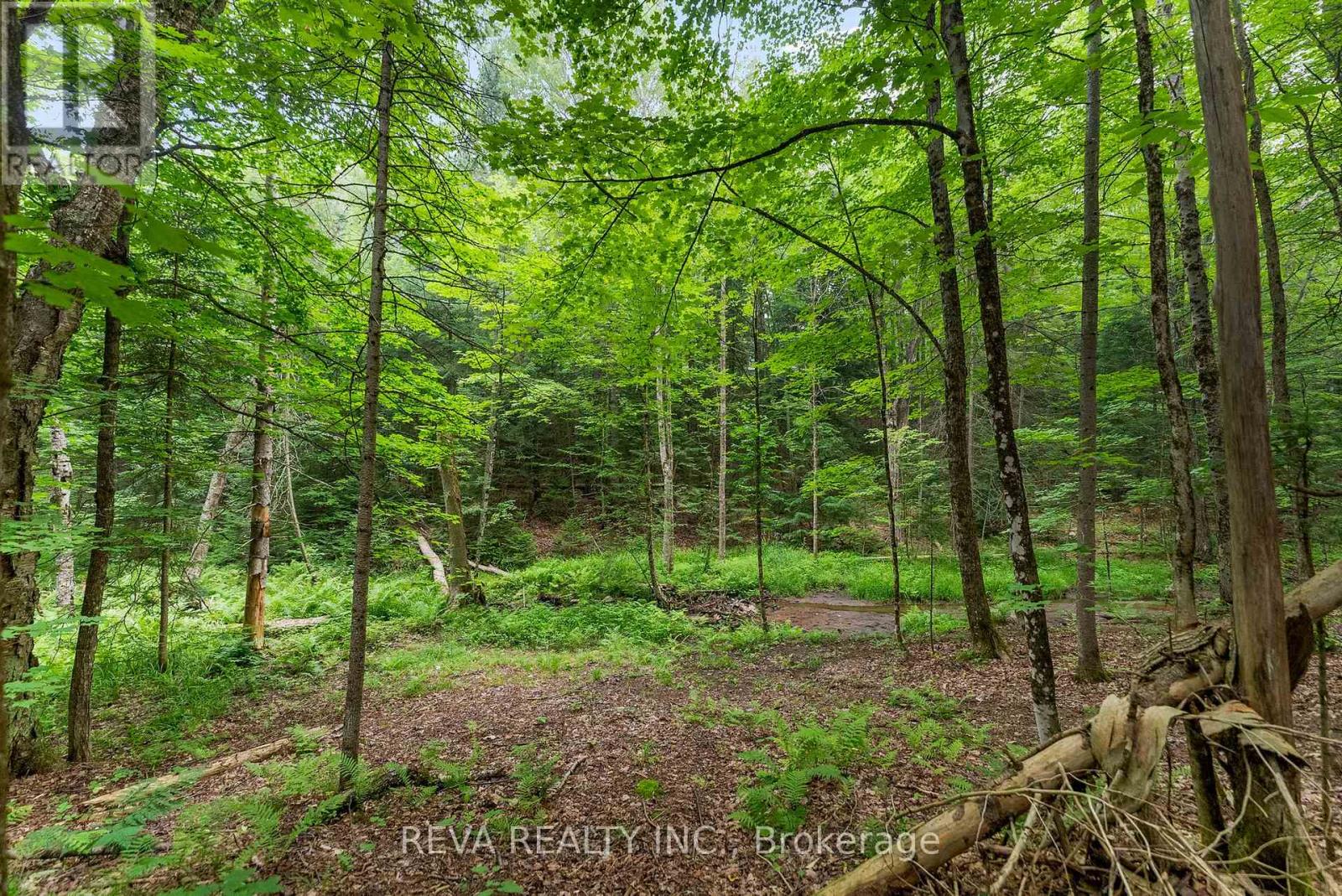 78 Bridge Street E, Bancroft (Bancroft Ward), Ontario  K0L 1C0 - Photo 28 - X12264562