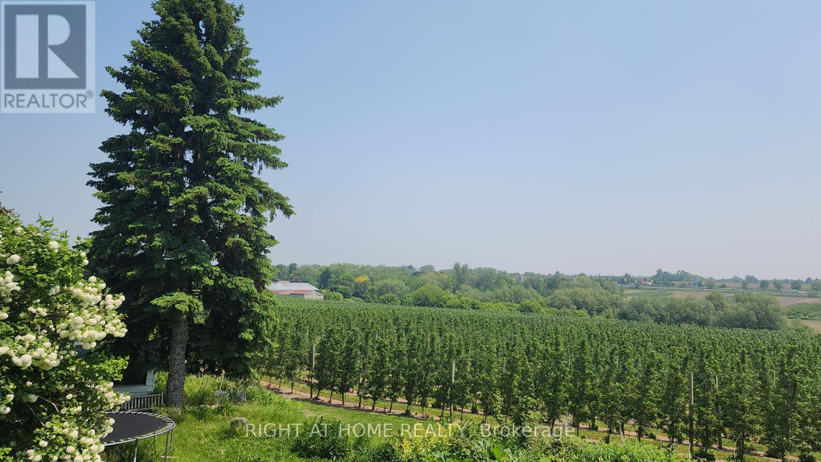 2853 Bellwood Drive, Clarington, Ontario  L1B 0L5 - Photo 20 - E12264745
