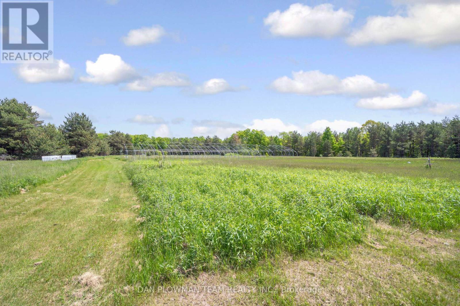 3221 Regional Road 20 Road, Clarington, Ontario  L0A 1K0 - Photo 15 - E12267225