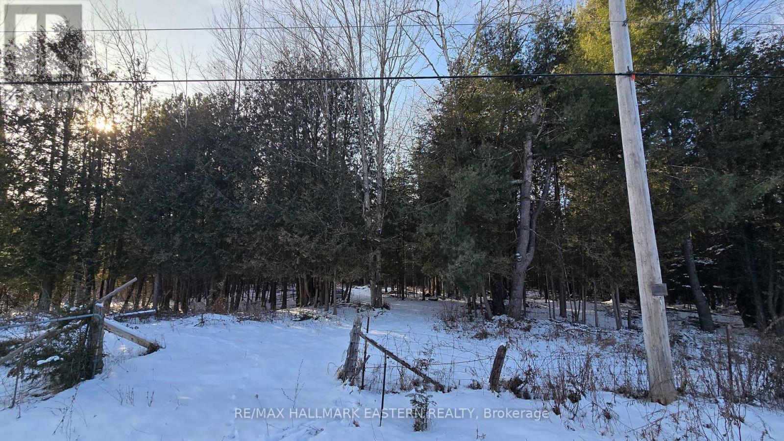 N/a County Road 46, Havelock-Belmont-Methuen (Belmont-Methuen), Ontario  K0L 1Z0 - Photo 6 - X12267421
