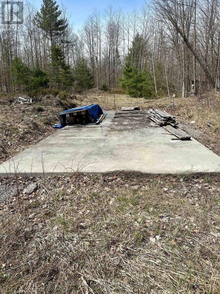 2981 County Road 44, Havelock-Belmont-Methuen (Belmont-Methuen), Ontario  K0L 1Z0 - Photo 3 - X12267886