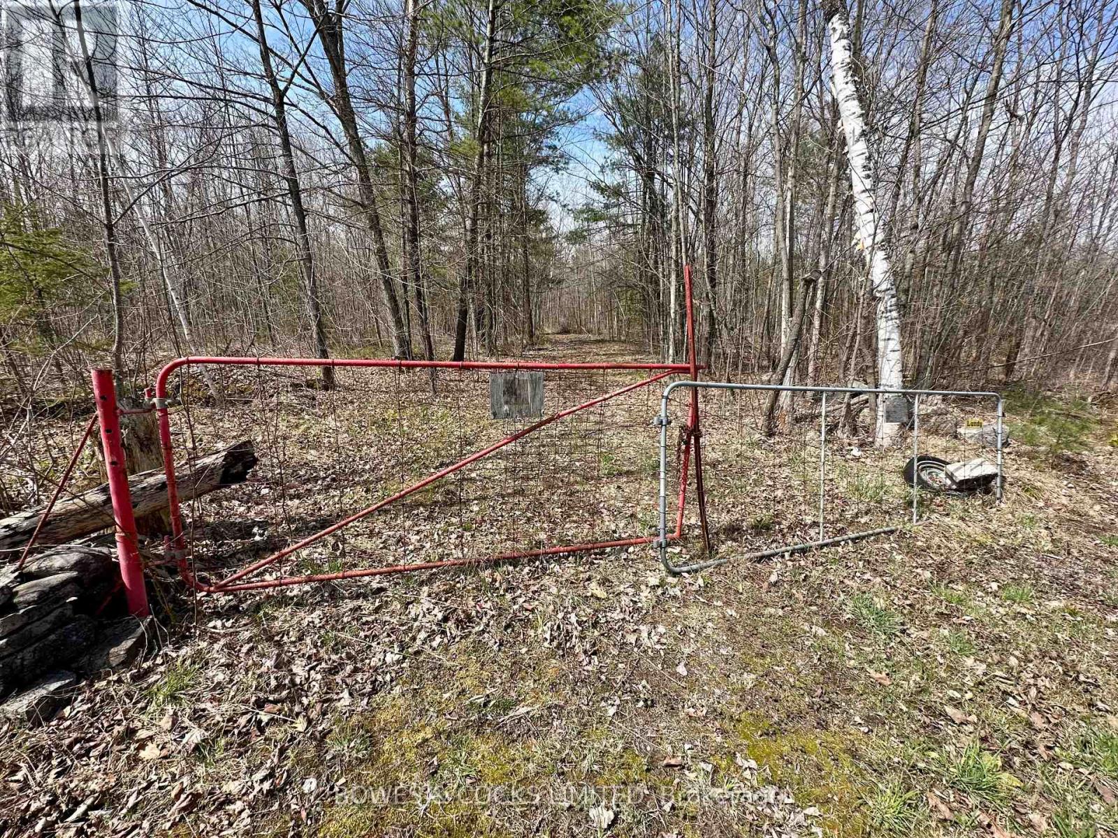 2981 County Road 44, Havelock-Belmont-Methuen (Belmont-Methuen), Ontario  K0L 1Z0 - Photo 4 - X12267886
