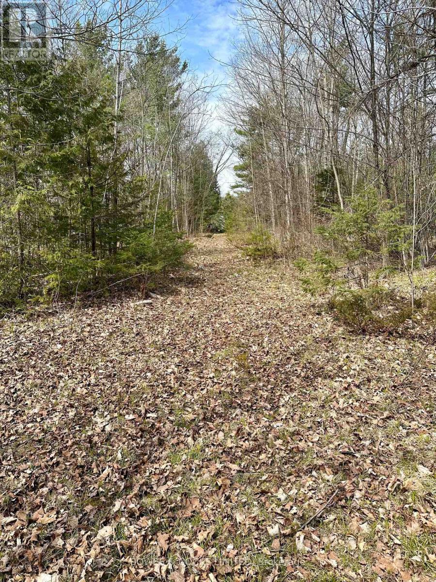 2981 County Road 44, Havelock-Belmont-Methuen (Belmont-Methuen), Ontario  K0L 1Z0 - Photo 5 - X12267886