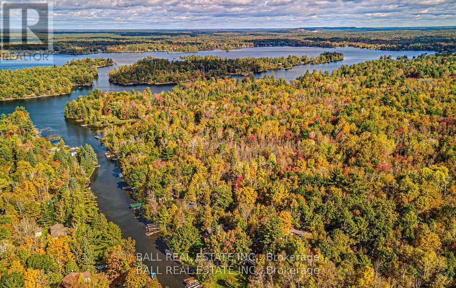 2374 Julia Shore Road E, Douro-Dummer, Ontario  K0L 2H0 - Photo 2 - X12269582