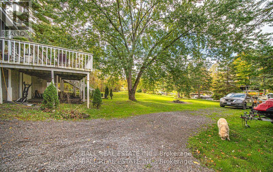 2374 Julia Shore Road E, Douro-Dummer, Ontario  K0L 2H0 - Photo 29 - X12269582