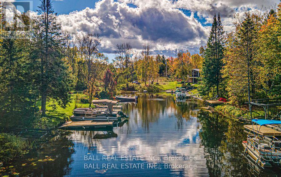2374 Julia Shore Road E, Douro-Dummer, Ontario  K0L 2H0 - Photo 34 - X12269582