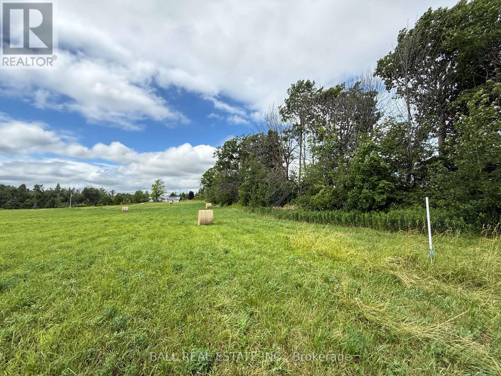 231 Concession 11 W, Trent Hills, Ontario  K0L 1Y0 - Photo 13 - X12269617