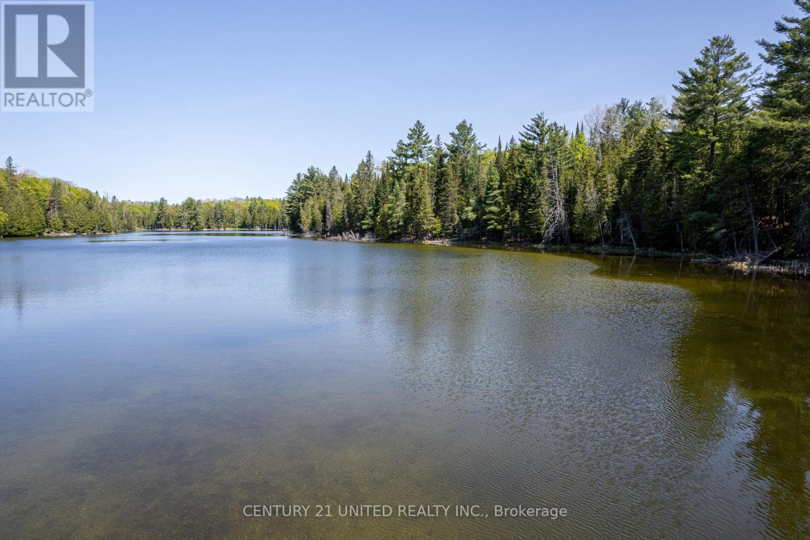 0 Johnson Road, North Kawartha, Ontario  K0L 1A0 - Photo 1 - X12269781