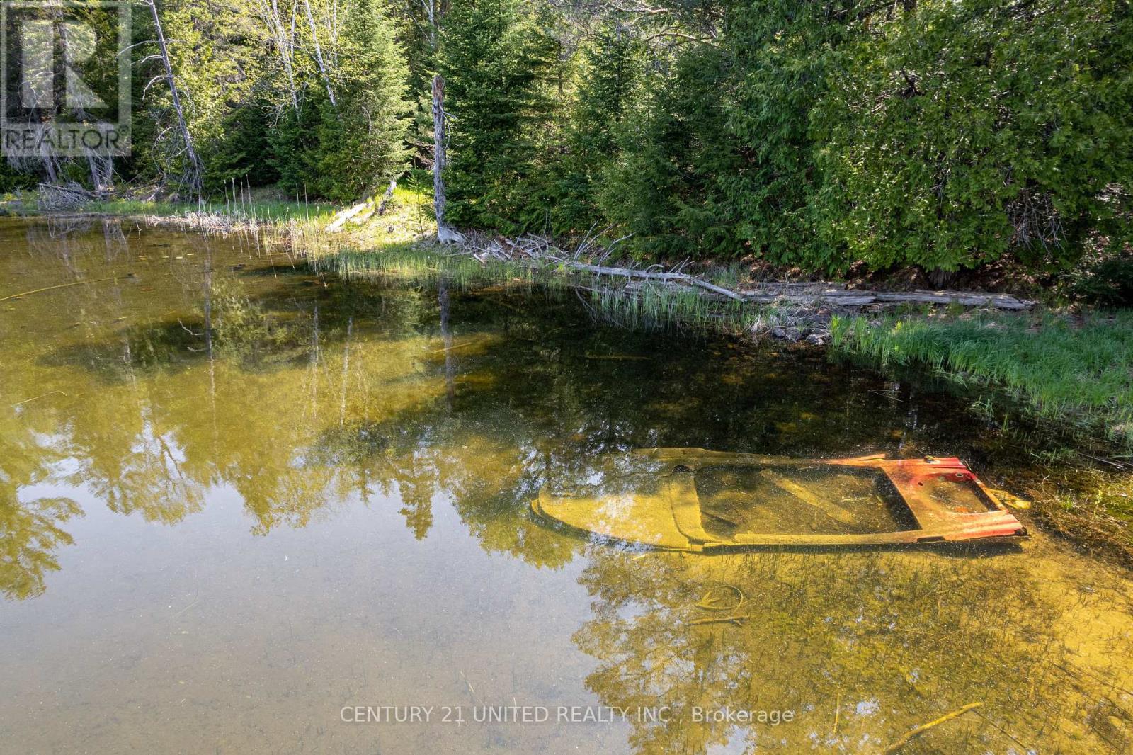 0 Johnson Road, North Kawartha, Ontario  K0L 1A0 - Photo 12 - X12269781