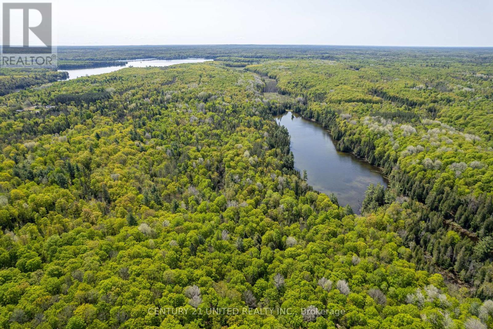 0 Johnson Road, North Kawartha, Ontario  K0L 1A0 - Photo 6 - X12269781