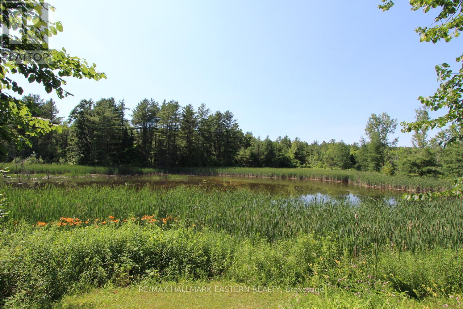 240 Cole Road, Havelock-Belmont-Methuen (Belmont-Methuen), Ontario  K0L 1Z0 - Photo 29 - X12270388