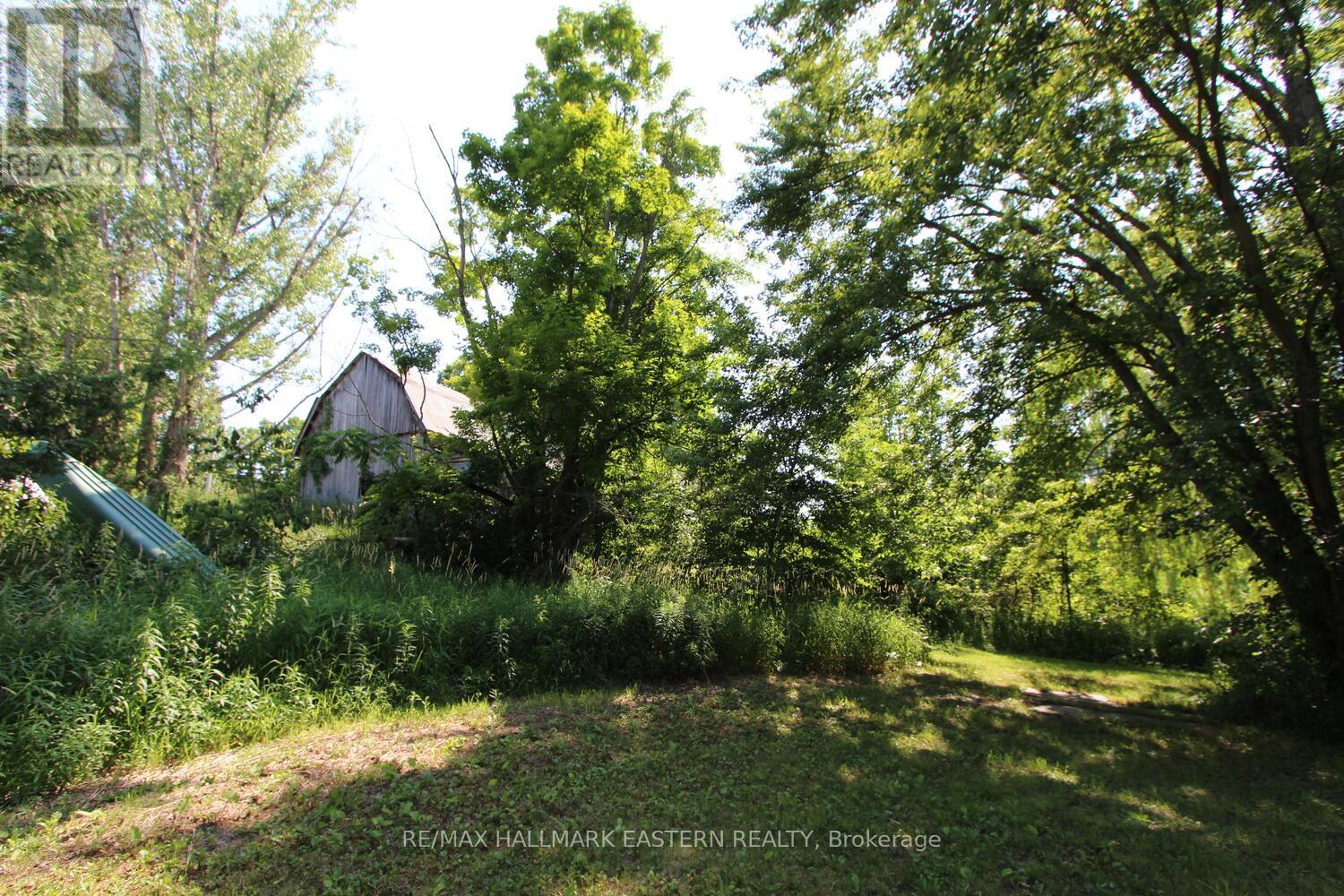 240 Cole Road, Havelock-Belmont-Methuen (Belmont-Methuen), Ontario  K0L 1Z0 - Photo 33 - X12270388