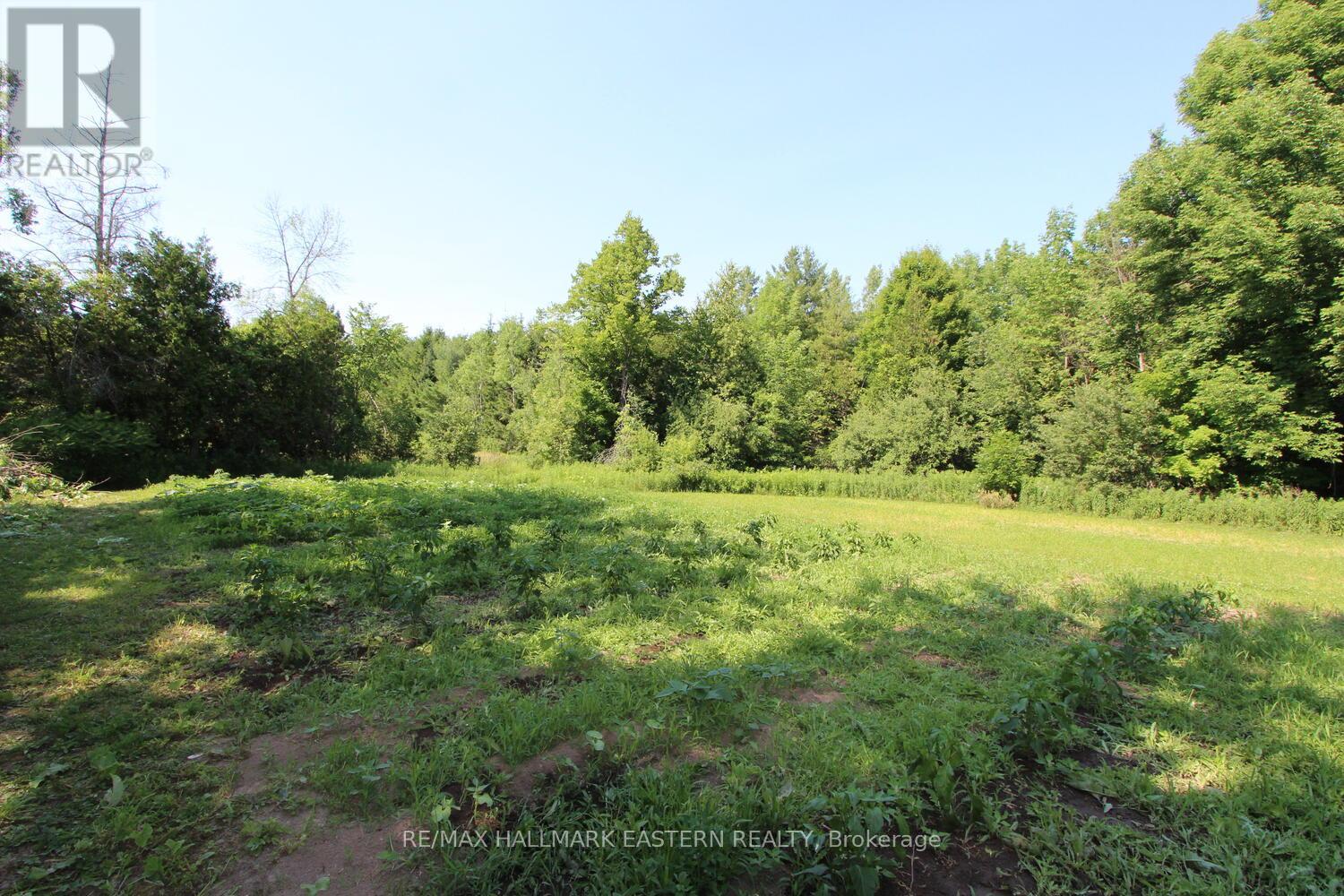 240 Cole Road, Havelock-Belmont-Methuen (Belmont-Methuen), Ontario  K0L 1Z0 - Photo 34 - X12270388