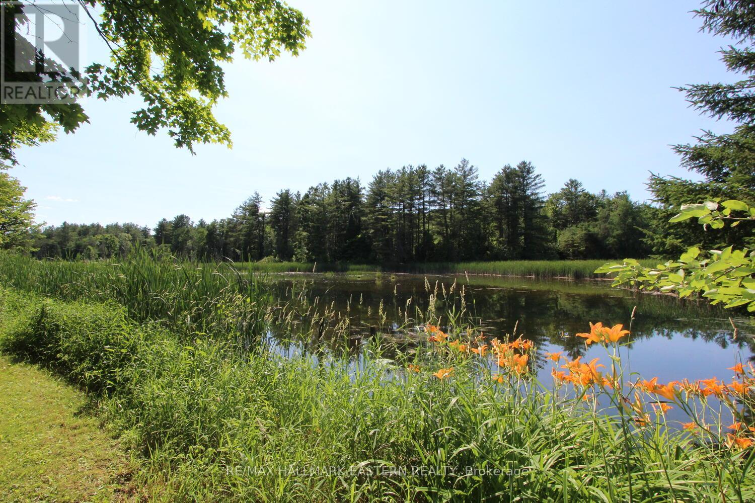 240 Cole Road, Havelock-Belmont-Methuen (Belmont-Methuen), Ontario  K0L 1Z0 - Photo 35 - X12270388